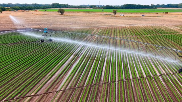 Drone view of motorized irrigation boom spraying water on crop rows. Steel frame with wheels sprays water across parallel green plant lines on moist earth.