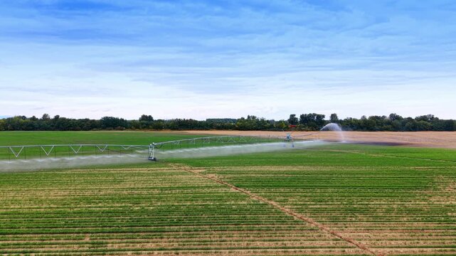 Automatic irrigation system spraying water over agricultural farmland. Long metallic sprinkler frame distributes water over green crop rows under daylight.