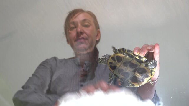 A woman holds a turtle above a surface while leaning over a clear glass barrier. The setting is indoors with soft lighting. The turtle appears active as it rests in her hands.