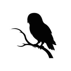 Obraz premium Silhouette Owl Perched on Branch Minimalist Design
