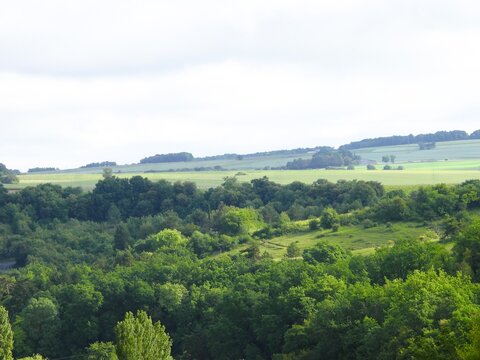 The photo reveals a rolling rural landscape where hills rise like waves of greenery. Dense trees fill the foreground, while lighter fields stretch into the distance.