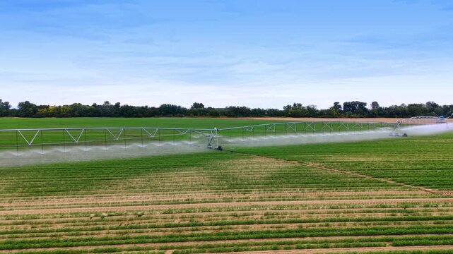 Center pivot sprinkler line spraying water over cultivated crop field. An aerial low angle shot reveals automated farm equipment operating under bright sky.