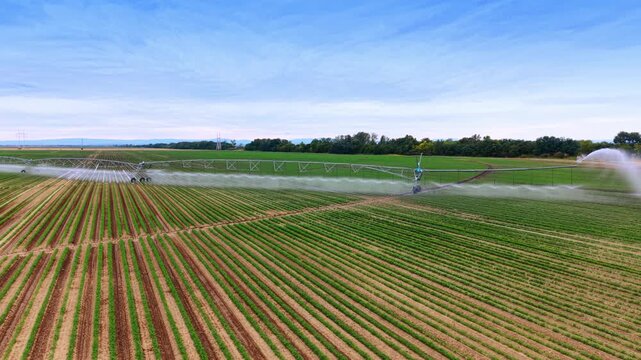 Center pivot irrigation system spraying water over agricultural crop field. An aerial wide shot shows modern machinery watering lush vegetation under blue sky.