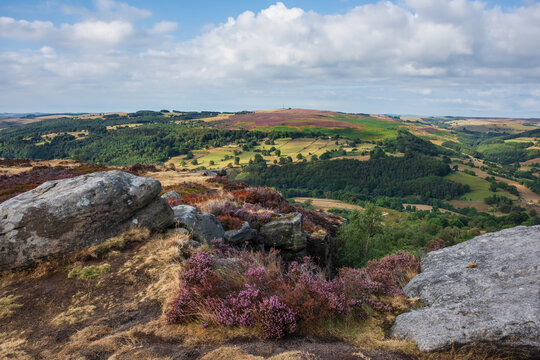 Stunning Peak District landscape from Surprise View with vibrant heather and dappled sunlight over the hills