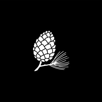 White pine cone vector art with pine needles high resolution picture