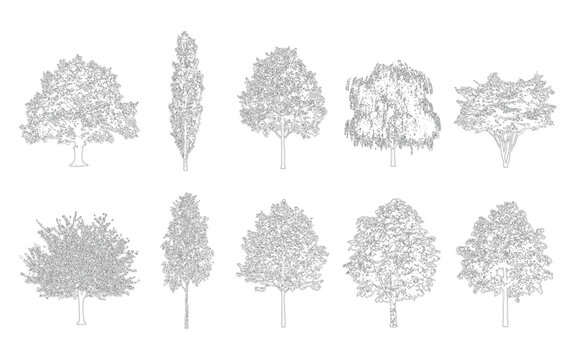 Set of various handdrawn sketch style trees