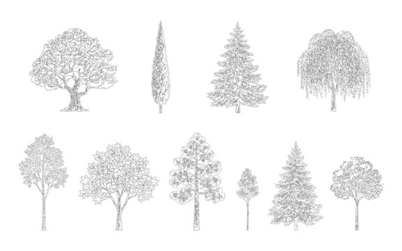 Set of various handdrawn sketch style trees