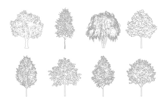 Collection of handdrawn sketch style deciduous trees