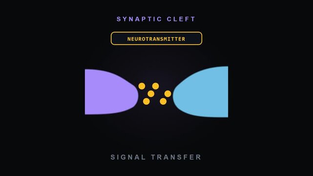 Synapse Transmission Animation Showing Synaptic Cleft and Neurotransmitter Signal Transfer for Video Editing and Graphic Works