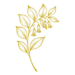 Obraz premium PNG Elegant golden floral illustration
