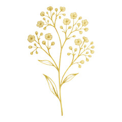 Obraz premium PNG Elegant golden floral illustration