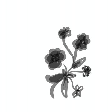 black and white grapes isolated on white background