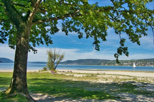 Bodensee bei Konstanz-Dingelsdorf