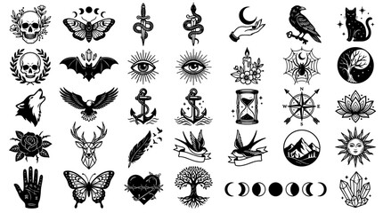 Fototapeta premium Collection of black silhouette symbols including animals plants and mystical icons
