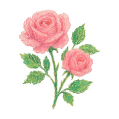 Obraz premium PNG Delicate pink roses painting