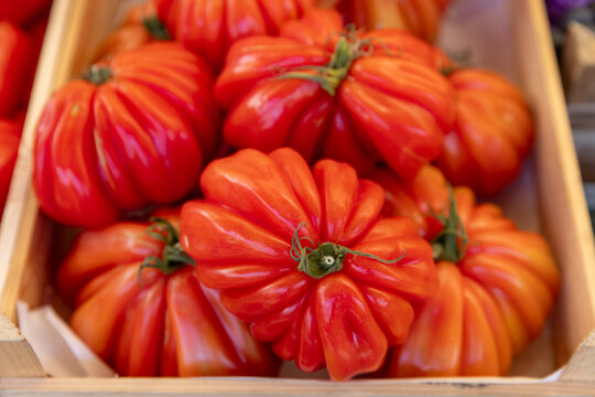 Reife rote Fleischtomaten (Coeur de Boeuf) am Marktstand