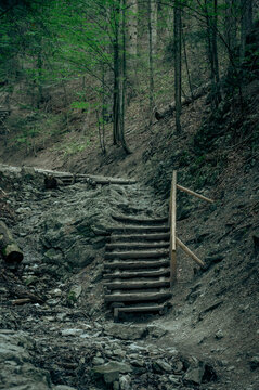 Wooden steps on a mountain ascent
