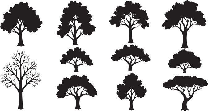 Oka tree silhouette vector set collection of deciduous forest trees icons, isolated on a white background.