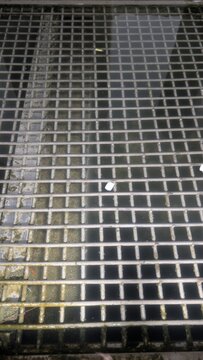 Metal grate of a fountain with green algae under calm water at night, illuminated by white lantern light with subtle reflections.