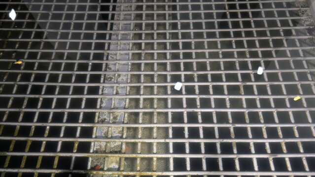 Metal grate of a fountain with green algae under calm water at night, illuminated by white lantern light with subtle reflections.