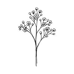Obraz premium PNG Minimalist botanical line art illustration.