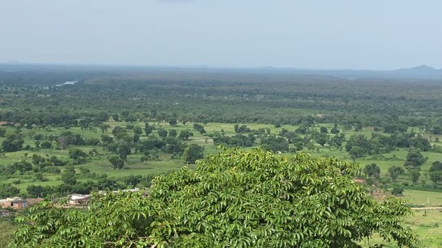 Vast Rural Plains From Hilltop Viewpoint