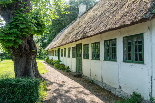 Traditionelles reetgedecktes Bauernhaus unter blauem Himmel auf der Insel Moen