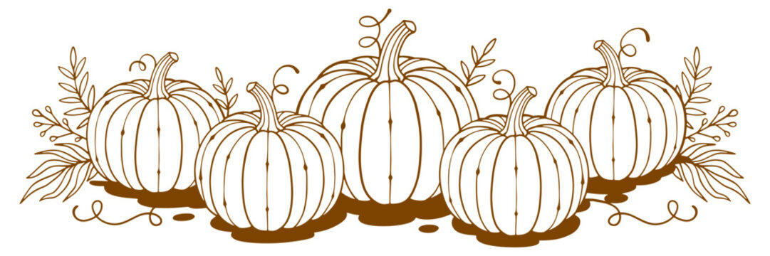 pumpkins line art style. halloween and thanksgiving elements vector eps	
