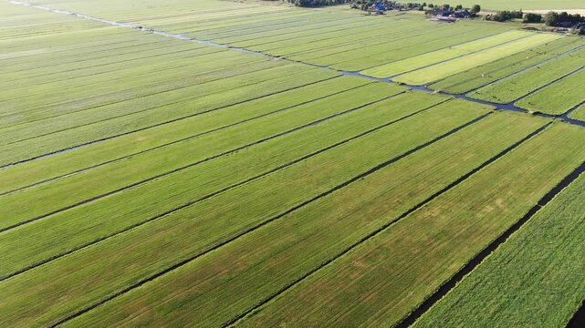 Aerial view of long narrow polder meadows divided by drone shot