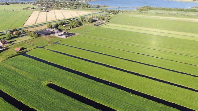 Aerial view of Dutch polder farmland with ditches and farms drone shot