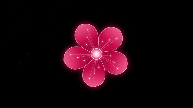 Glowing pink flower animation blooming on dark background with bokeh.
