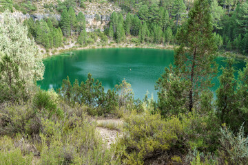 Lagunas de cañada del hoyo en Cuenca © David Martínez