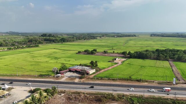 Aerial Drone View of Green Paddy Fields and Highway in Pokok Sena, Kedah, Malaysia