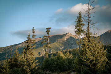 Mountain ridge illuminated by warm morning sunlight above a dense coniferous forest in the High Tatras, Slovakia, with dramatic clouds drifting across a clear alpine sky. © ukasz