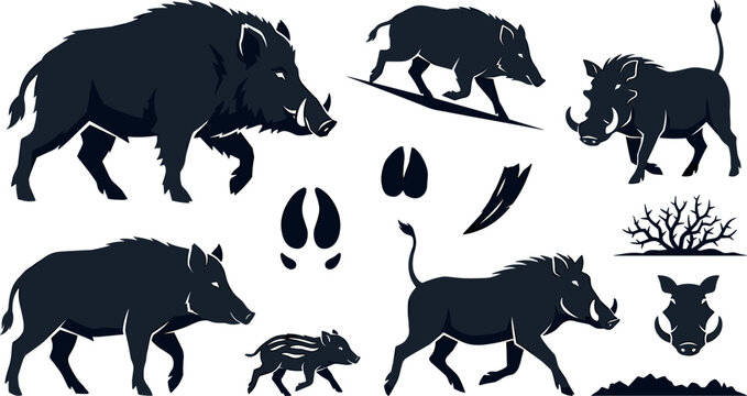 Wild Boar and Warthog Silhouette Vector Icon Set Featuring Running Pigs, Piglet, Tusks, Hoof Tracks, Mud Splatters, and Forest Bush Elements