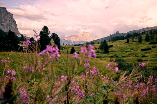 Grassy meadows surrounded by mountains at sunset