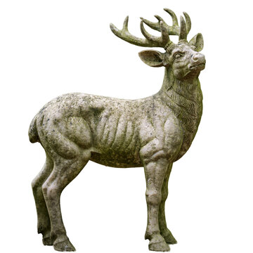 Old weathered looking stone carving monolith of a stag with algae and transparent background