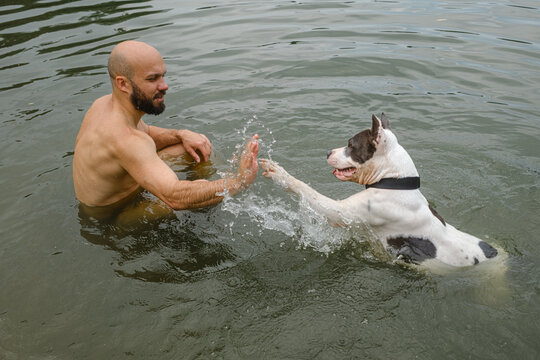 Man Plays With Dog in Water Summer Activity