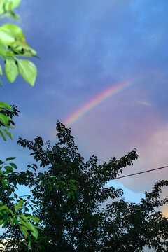 Rainbow Appears in the Sky Above Trees After Rain Nature Texture