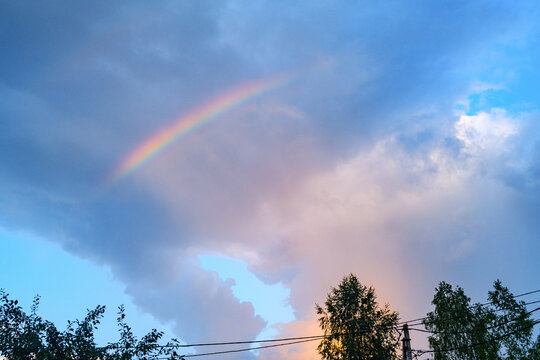 Rainbow Appears in the Sky After Rain Near Tall Trees