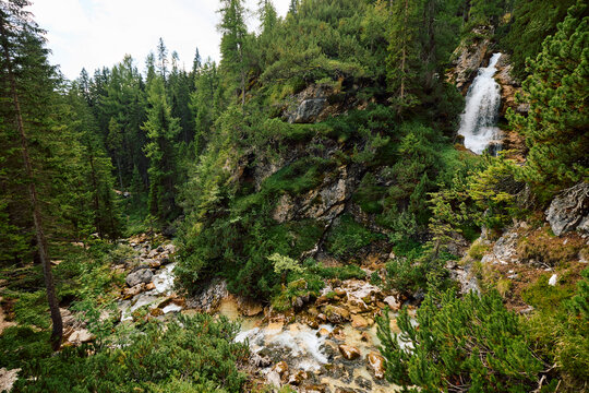 Nature Scene With Waterfall and Forested Landscape