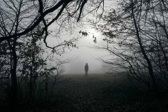 Mysterious man silhouette in forest clearing