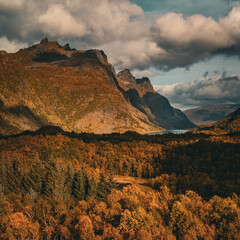 Panoramic aerial view of a mountain range and colorful autumn forest in northern Norway under a cloudy sky © Quality by Simon