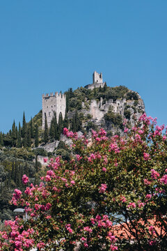 Arco Castle in Bloom
