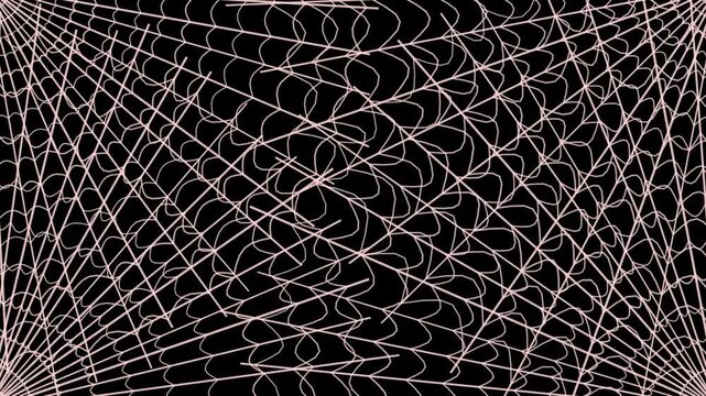 Spider web drawing animation with red insect on black background for halloween.
