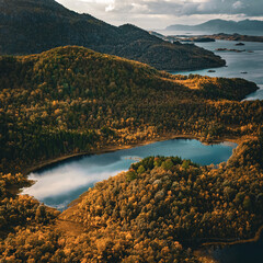 Panoramic aerial view of a scenic fjord and lake surrounded by golden autumn forest in northern Norway © Quality by Simon