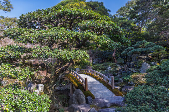 Small arched bridge hidden in a leafy garden