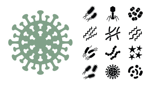Medical Virology and Microscopic Pathogens Vector Design and Illustration Featuring Coronavirus and Various Bacteria Icon Collection