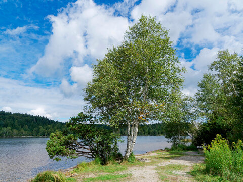  Kirchsee lake in Sachsenkam (Upper Bavaria) in heart of  Ellbach-Kirchseemoor nature reserve. Bathing and relaxation area on southern shore and view of the northeastern shore and kirchseebach stream