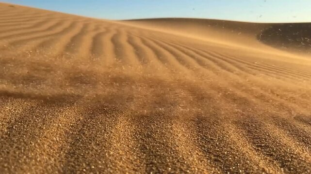 Desert Dunes in Wind: Rippling sand dunes under a clear sky, sculpted by the wind, create a mesmerizing pattern of golden waves, evoking a sense of vastness and arid beauty.